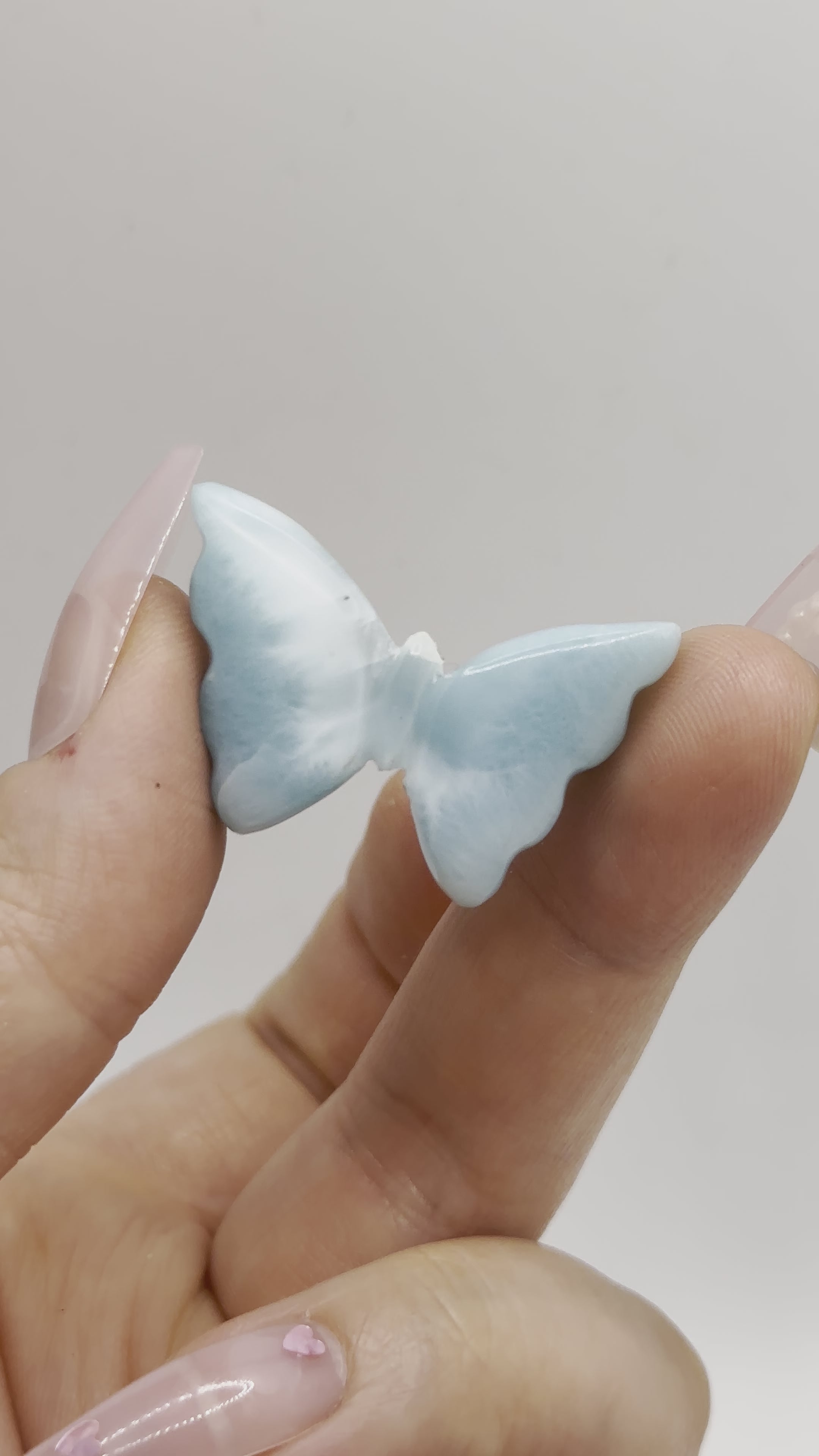 Larimar butterfly