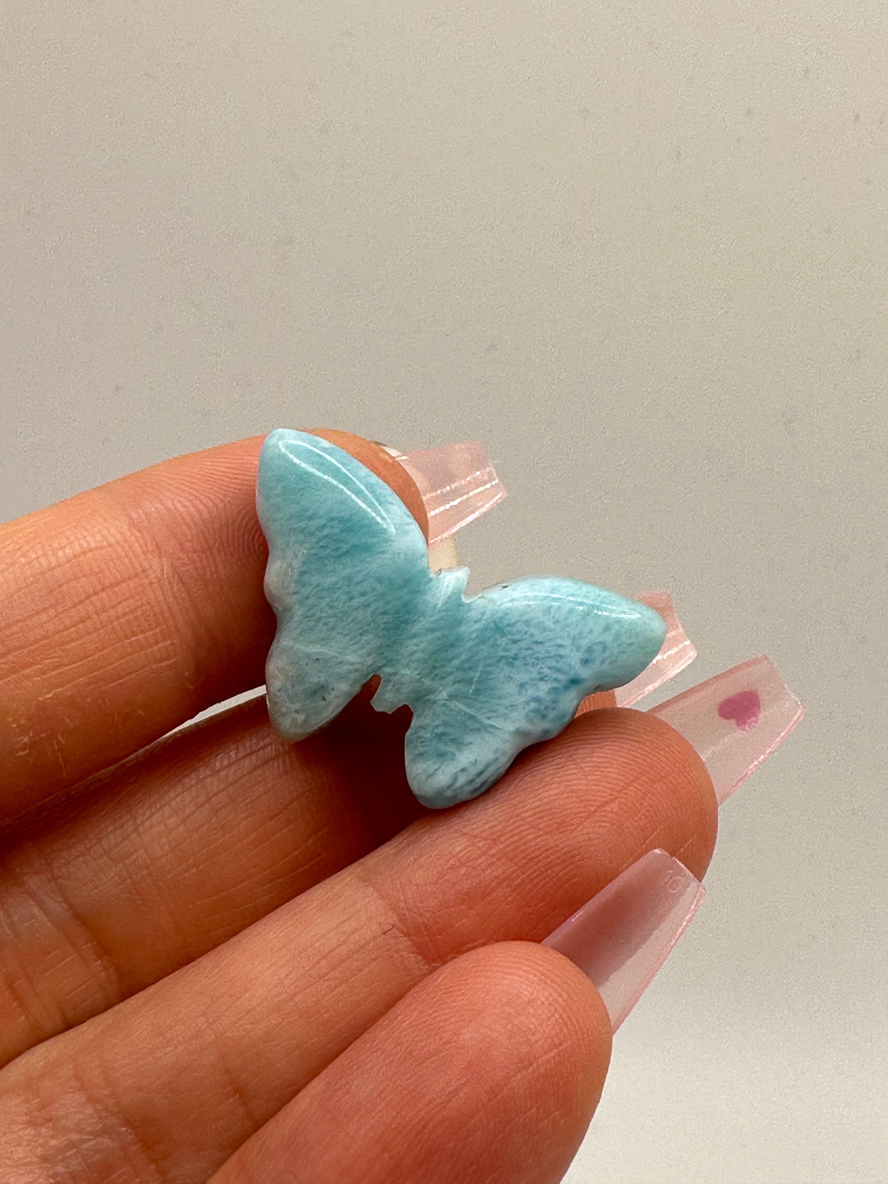 Larimar butterfly