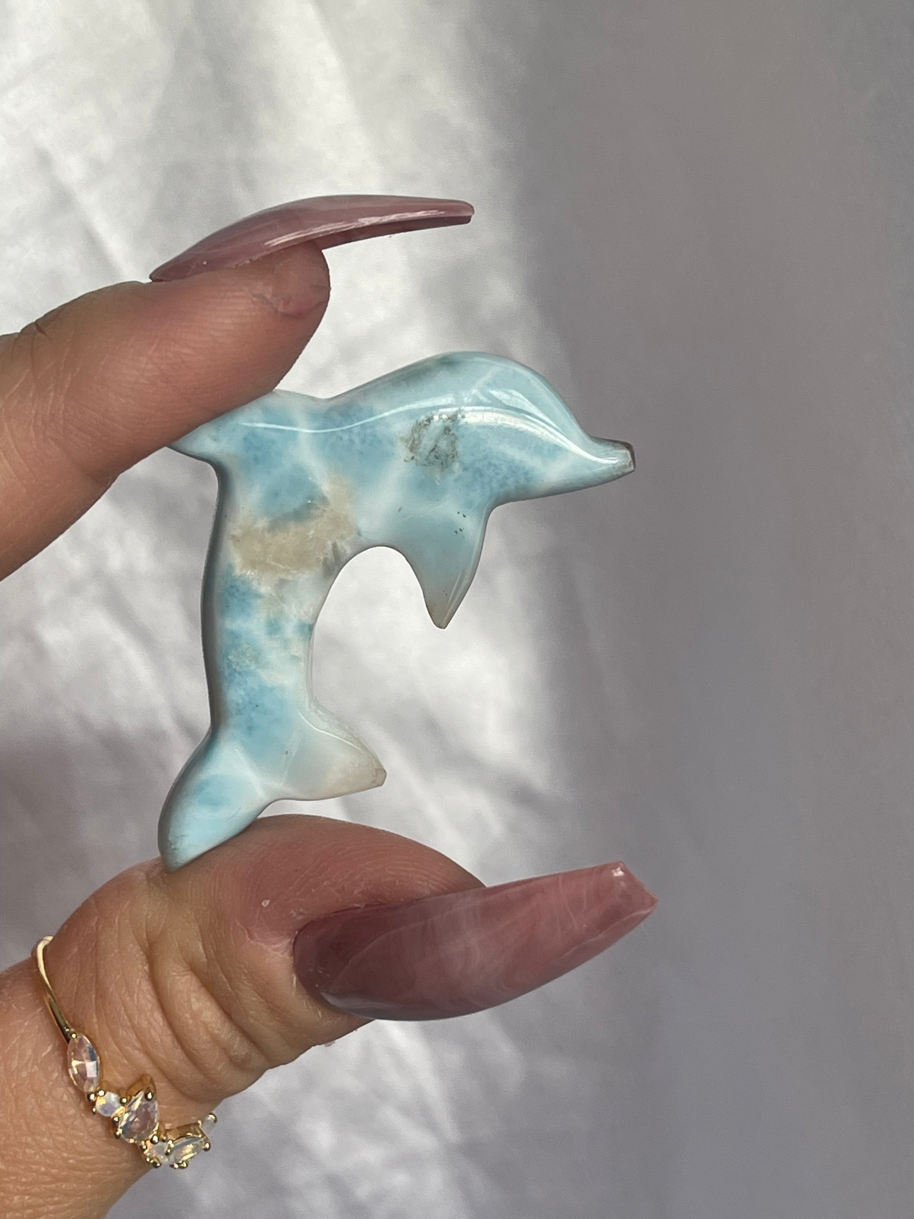 Larimar Dolphin