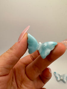 Larimar butterfly