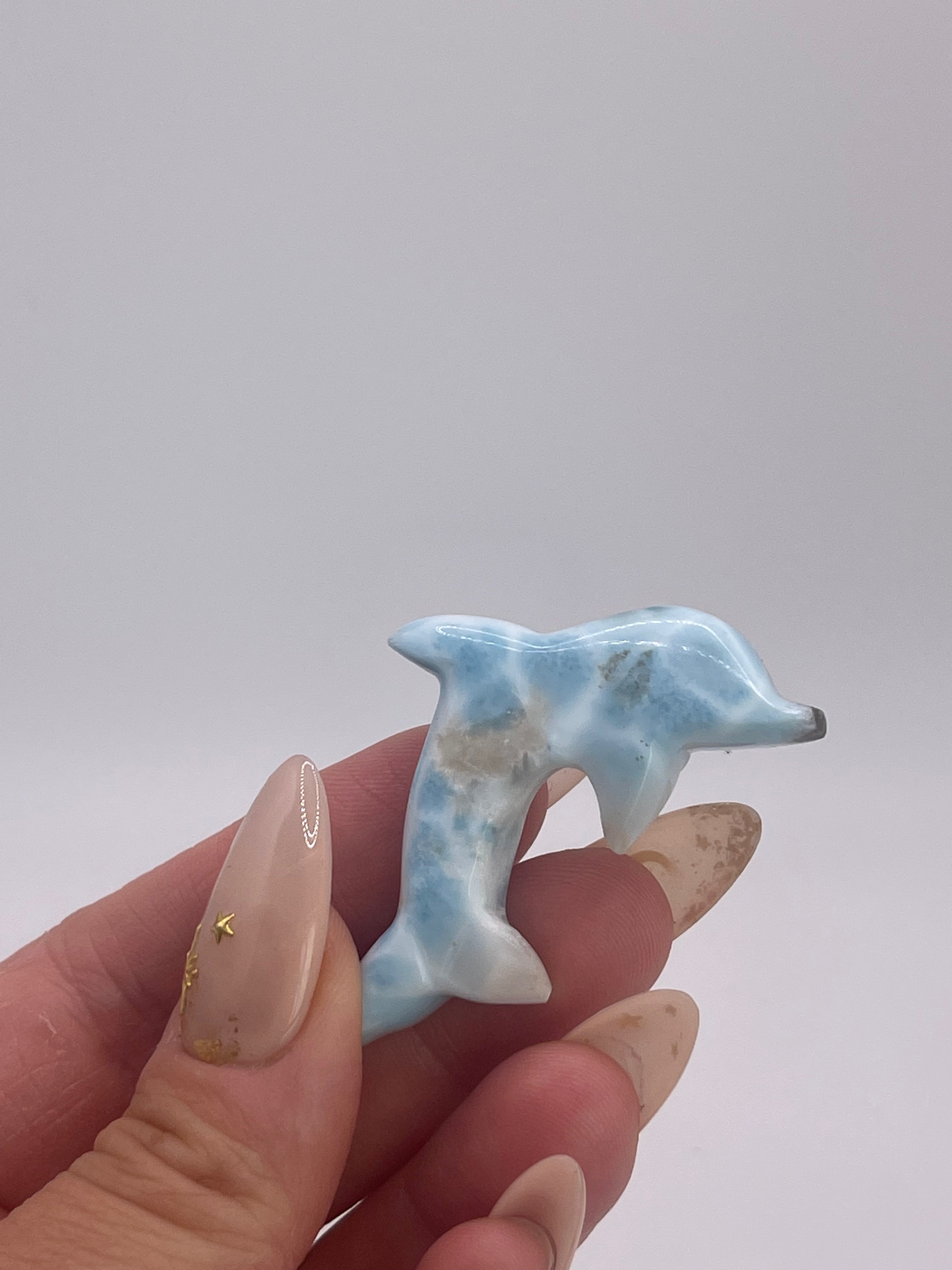 Larimar Dolphin