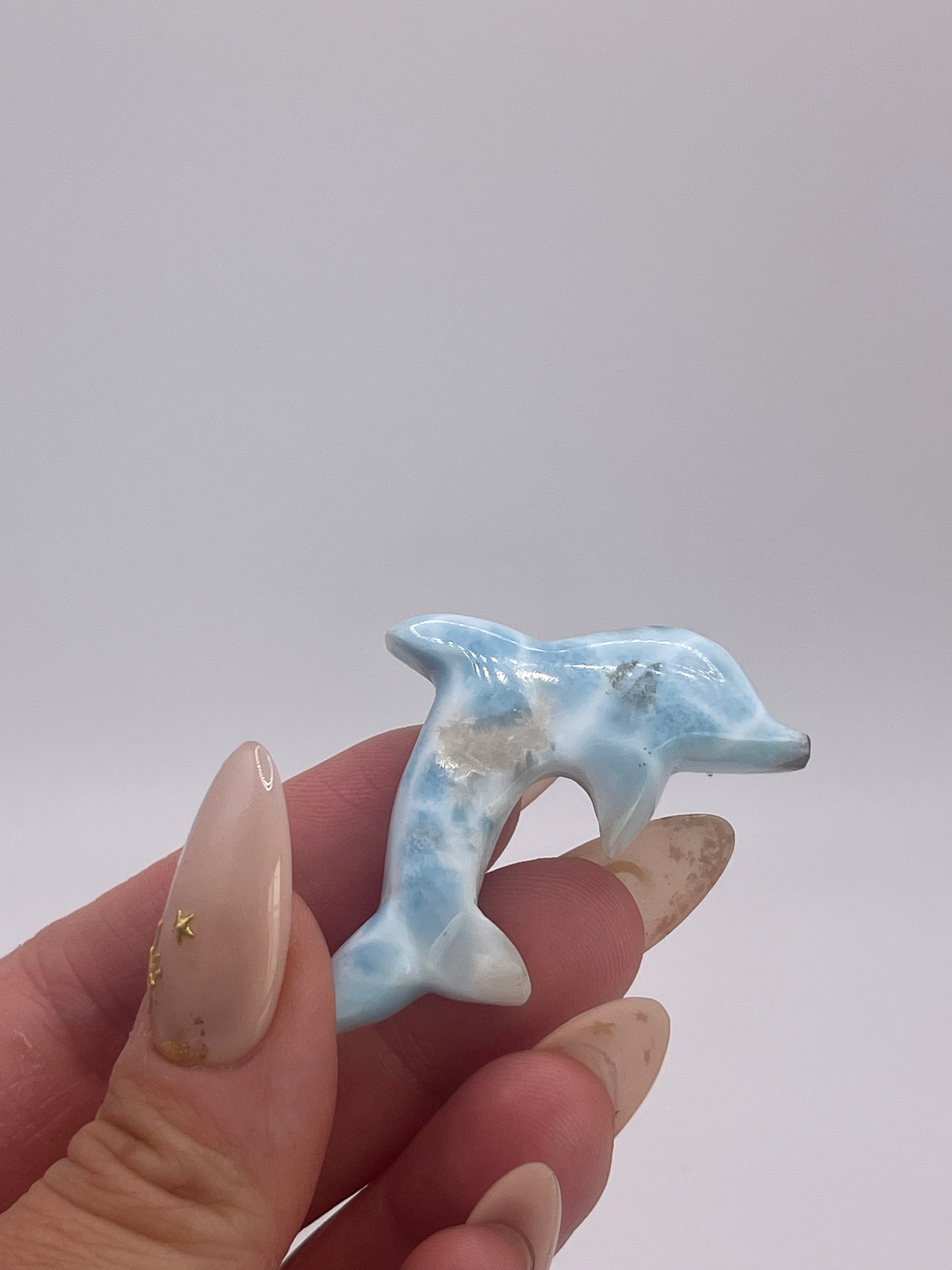 Larimar Dolphin